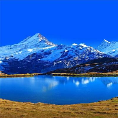 中欧体育下载截图